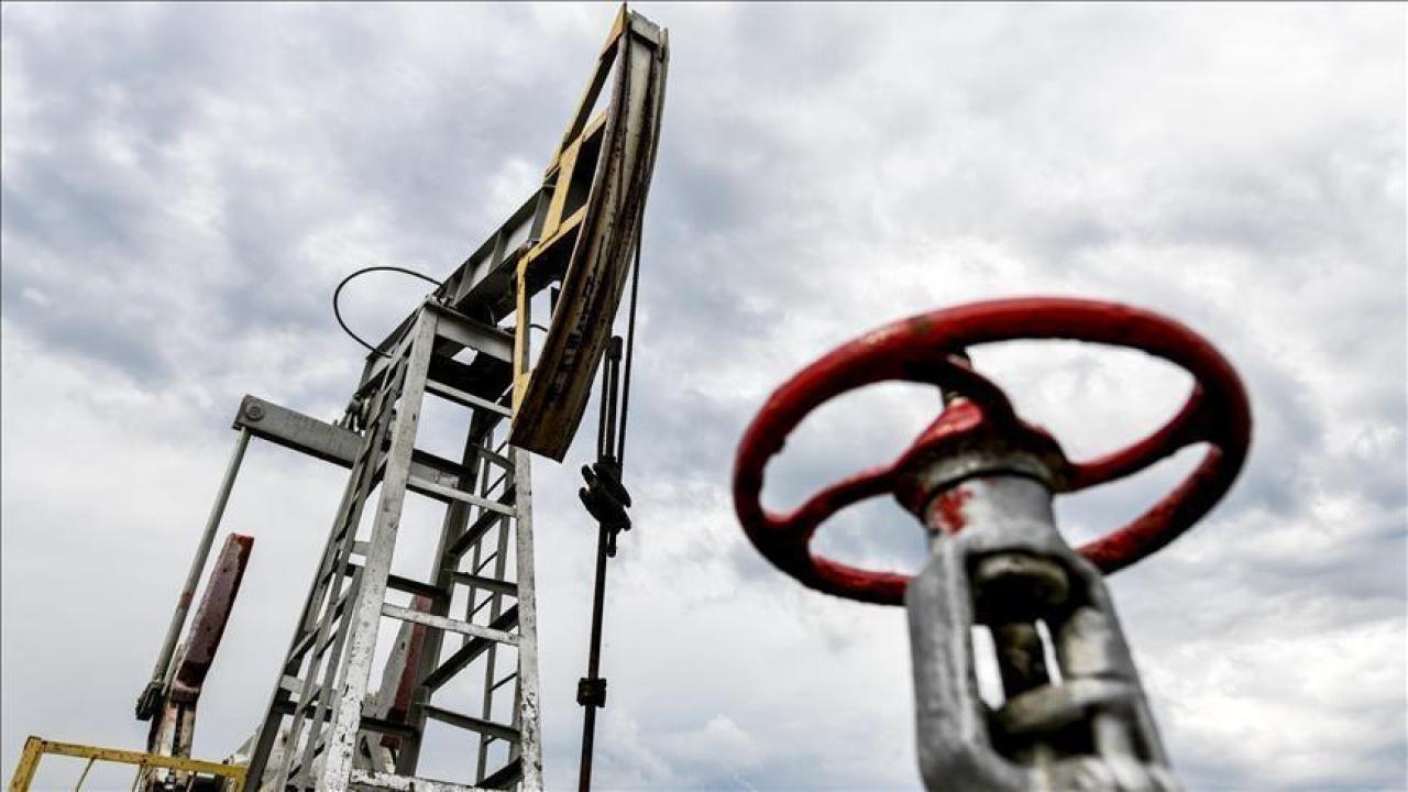 Türkiye, petrol ve doğal gazda sınır ötesi ortaklıklarını güçlendiriyor